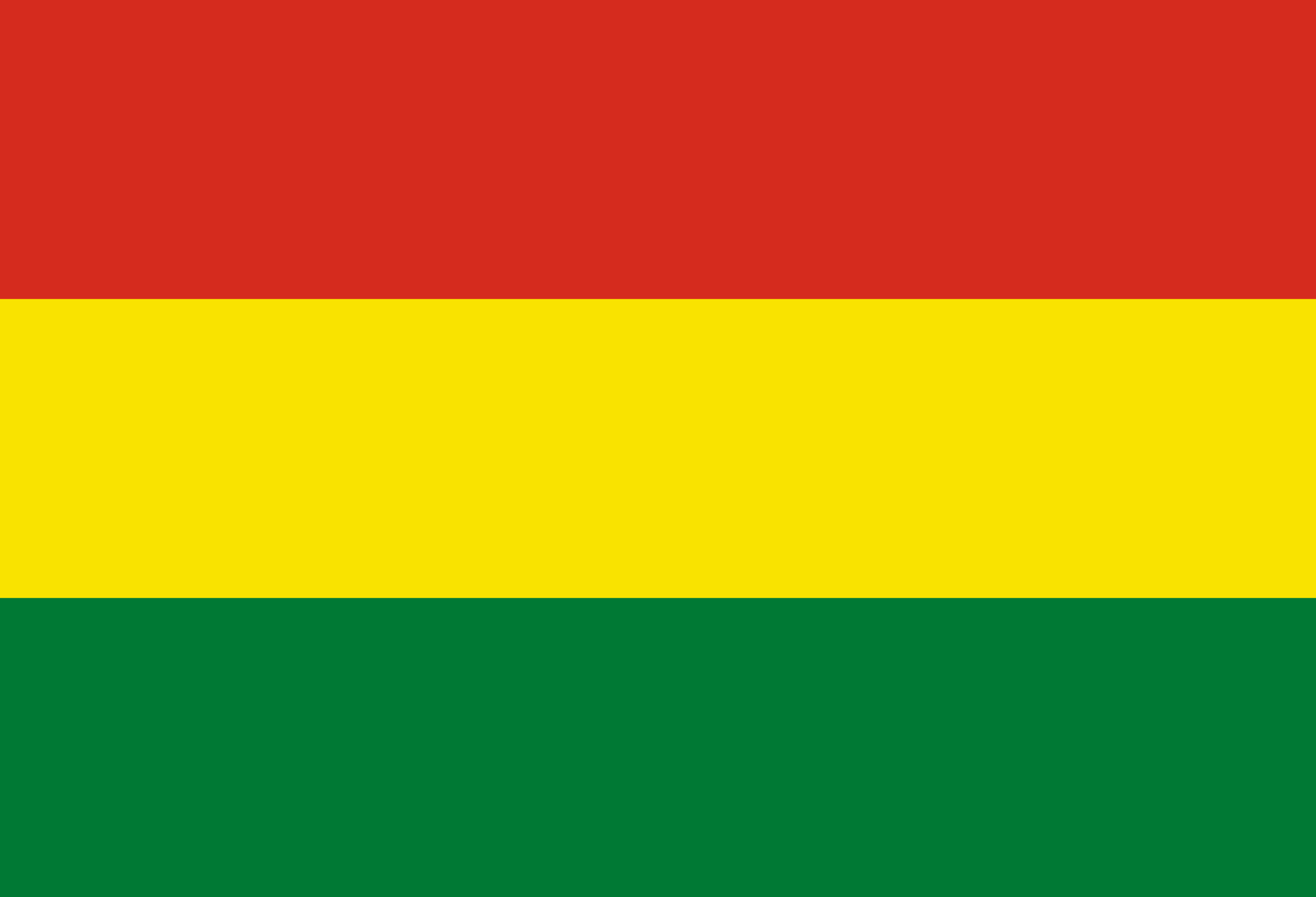 Plurinational State of Bolivia Flag