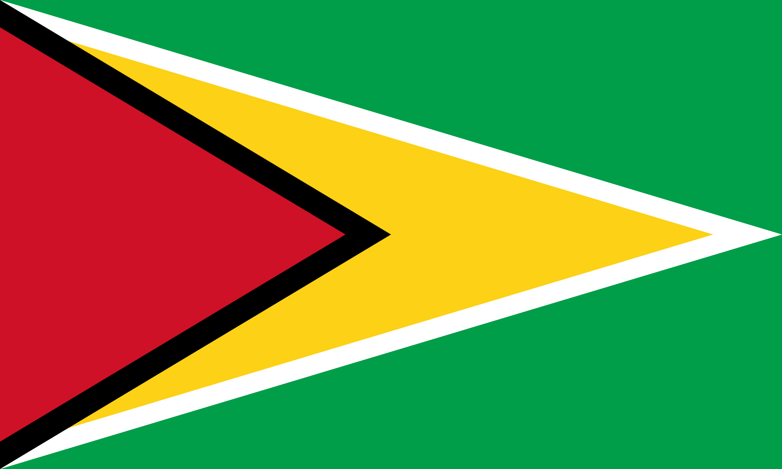 Guyana Flag Guyana Flag