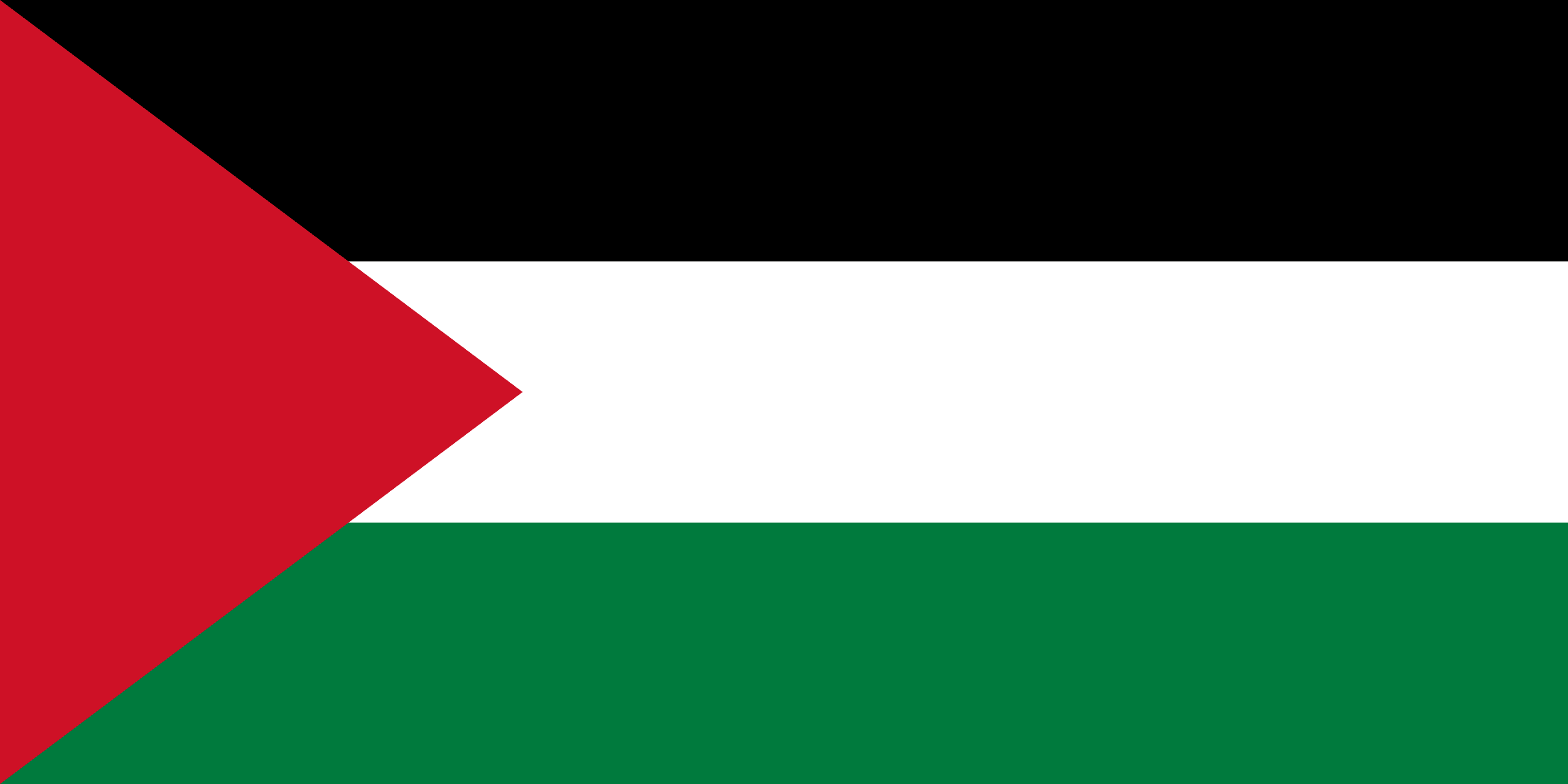 Palestine Flag Palestine Flag
